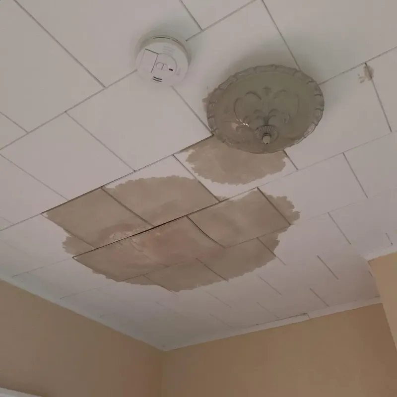 Ceiling Water Damage Repair in Brussels, WI