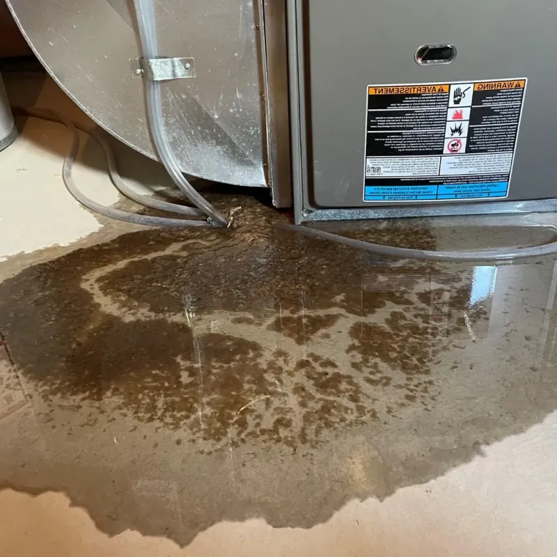 Pipe Burst and Leak Restoration in Brussels, WI