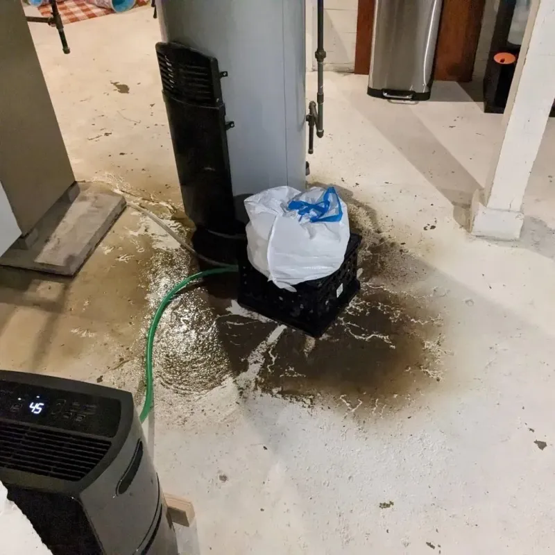 Sewage Backup Cleanup Service in Brussels, WI